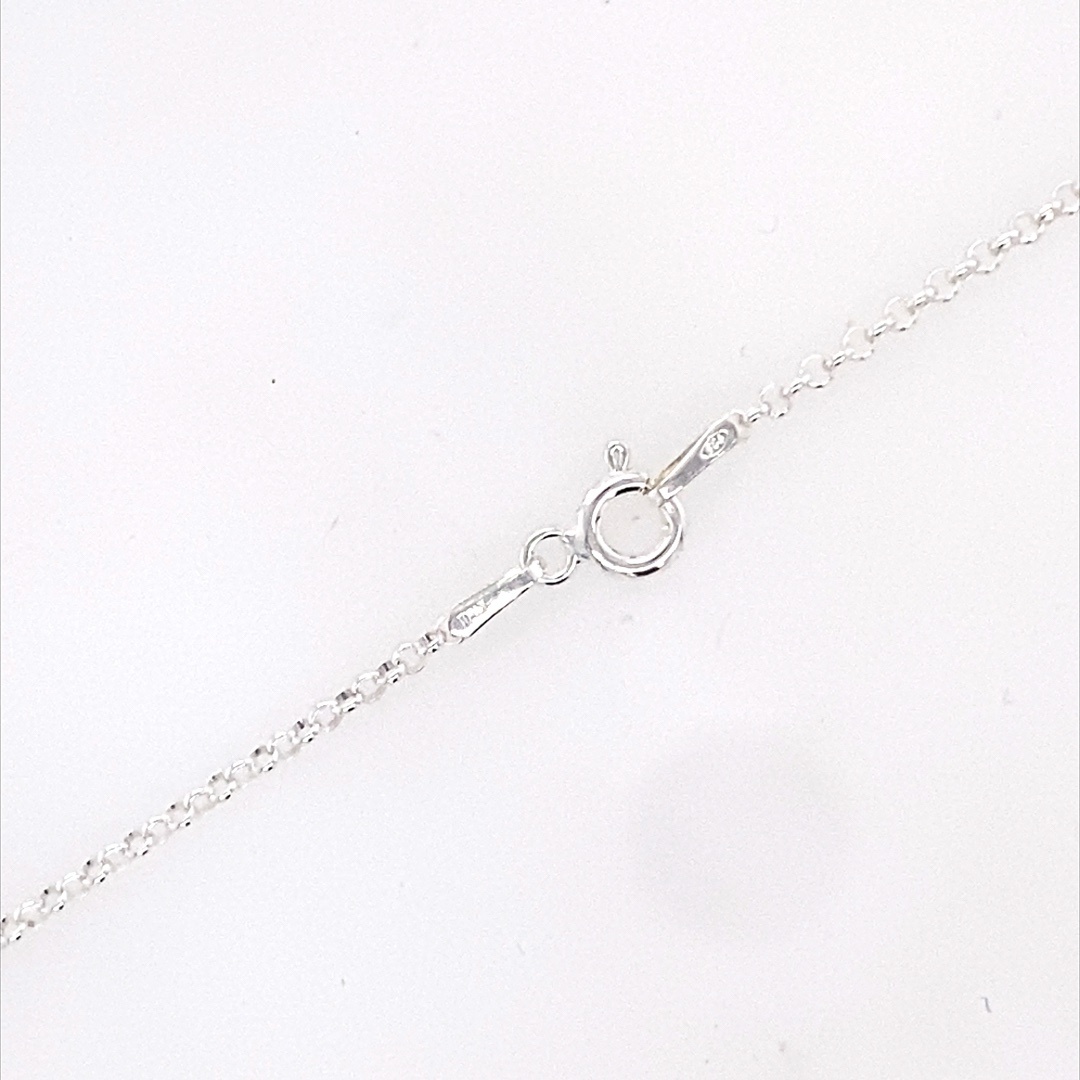 925 ROLO ANKLE CHAIN - 1.7MM - 26CM - 1.5g <br/>M15506.26 - Image 2