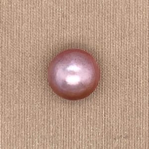 MABE - PURPLE - 10/11 <br/>MMAPU10-11